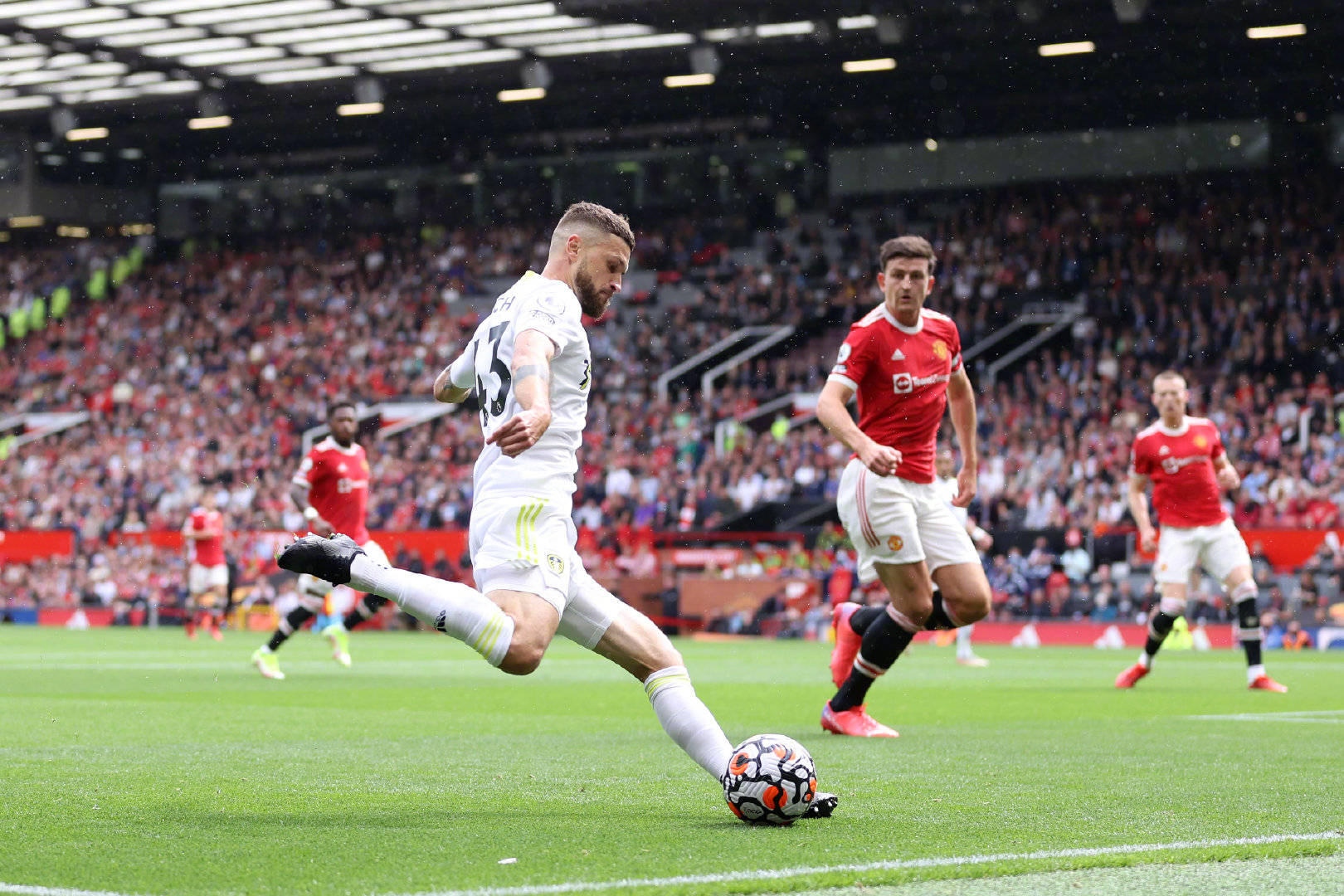 意欲让粉丝 意欲让粉丝